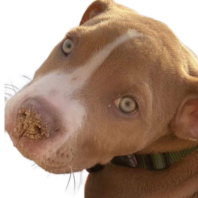 Riley's Pet Services